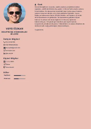 Mekatronik Mühendisliği Cv Örnekleri cv indir